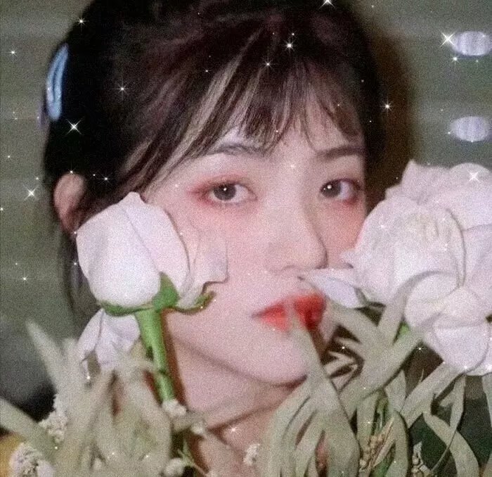 隋唐英雄